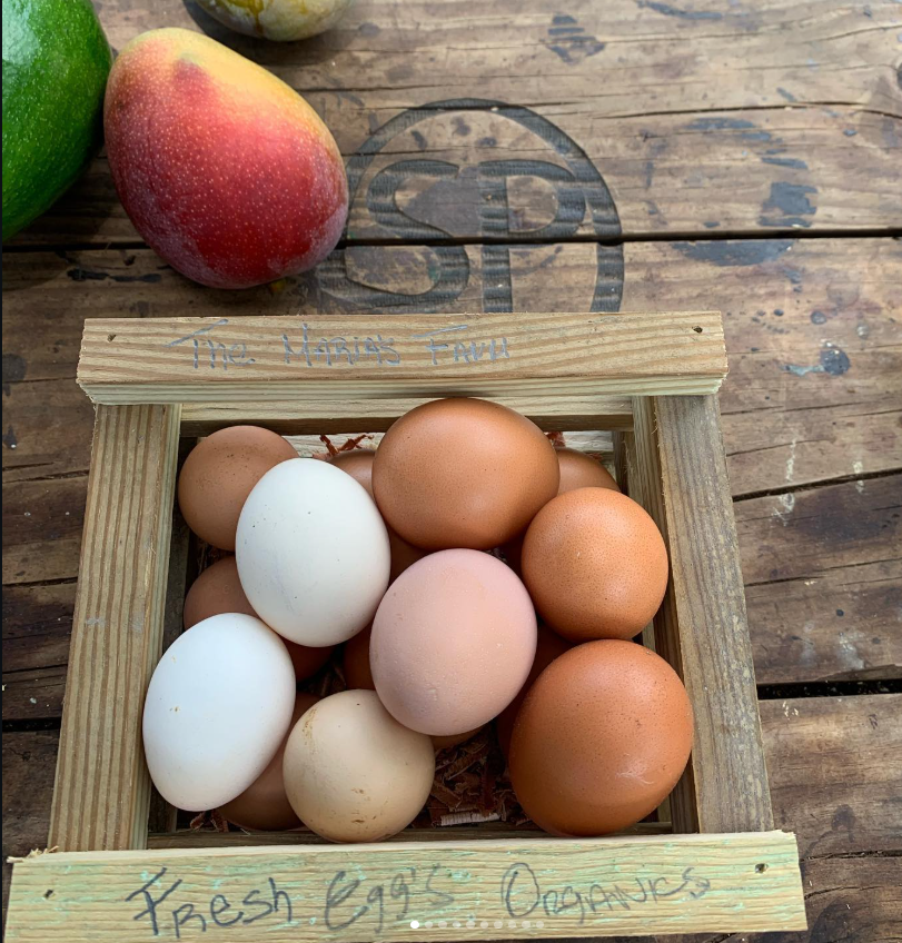 FRESH EGGS ORGANICS